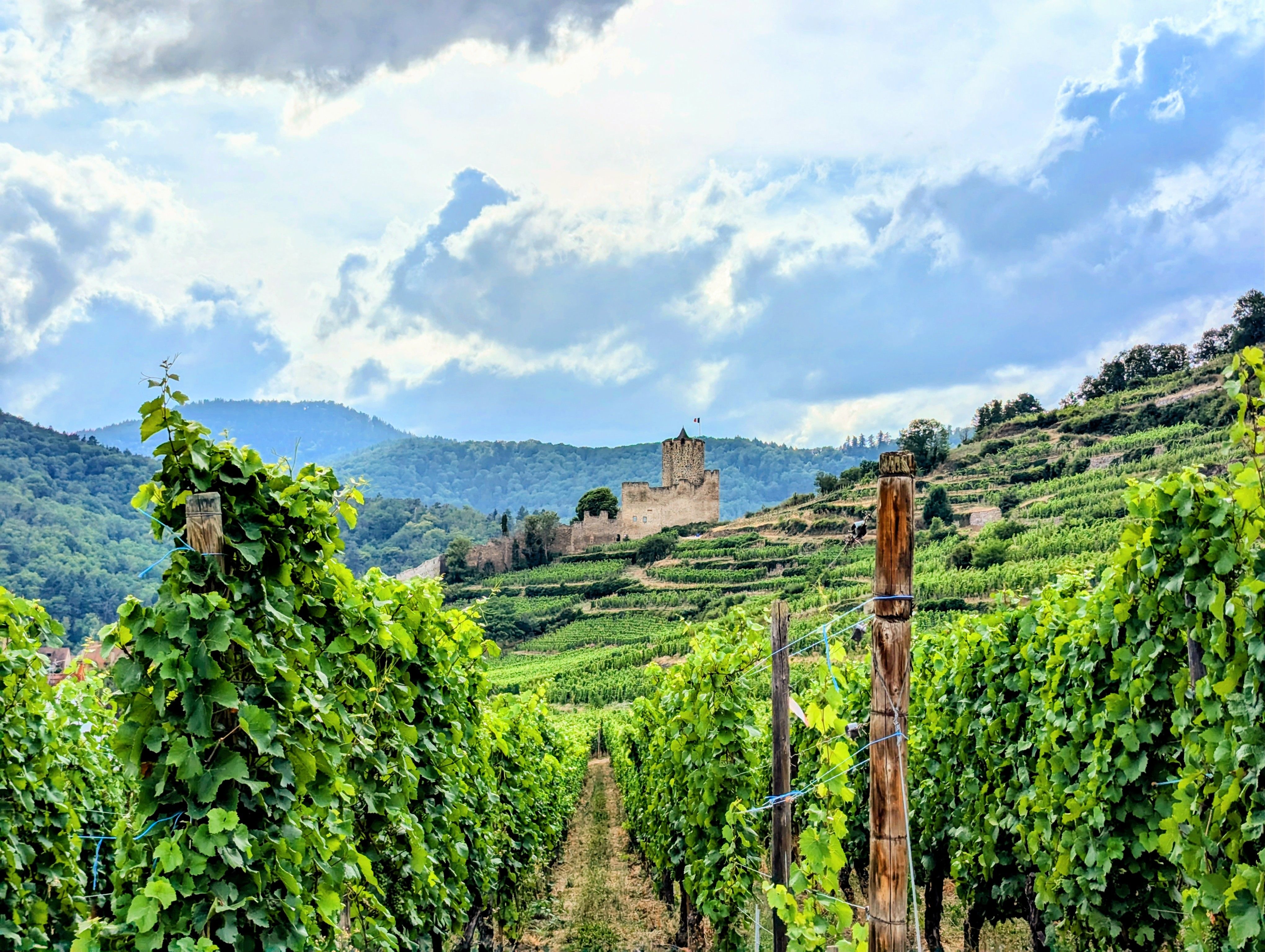 Les Ecrins, chambres d'hôtes de charme, spa et bien-être à Orbey en Alsace