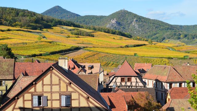 Kientzheim, Alsace